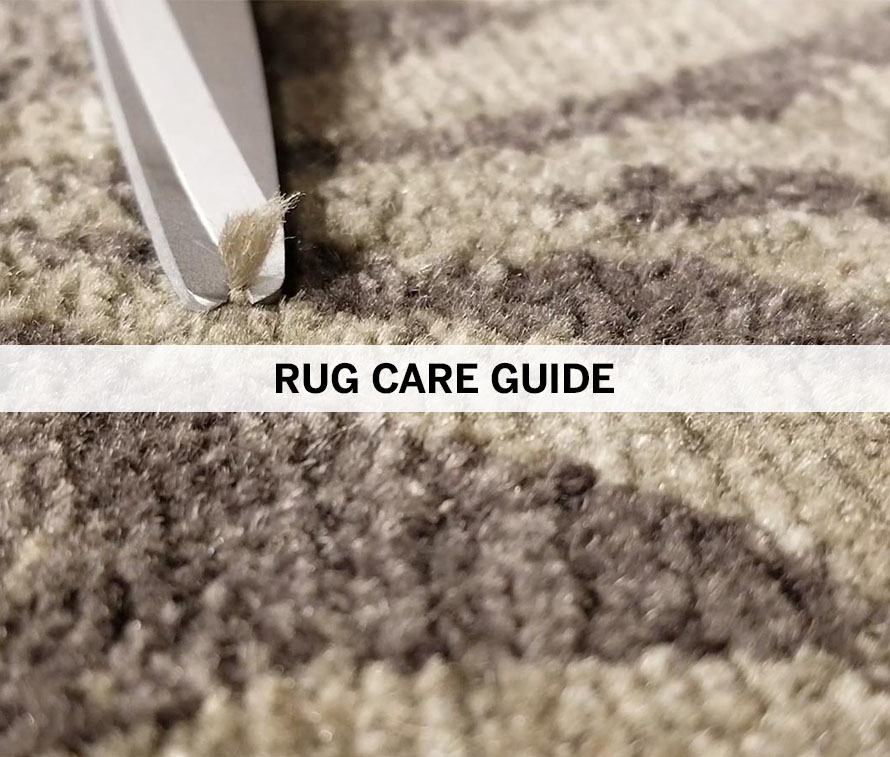 rug care guide