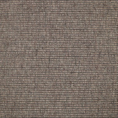 Modern/Transitional/Indoor-Outdoor Taupe Area Rug: Design Organics Mojave 4134051: Joshua Tree (Power-Loomed Area Rug)