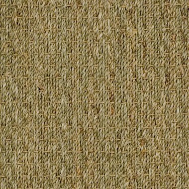 Modern/Transitional Beige/Tan Area Rug: Design Organics Botanical Blends 42606: Natural (Power-Loomed Area Rug)
