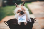 Happy Easter from our family to yours!
