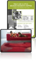 5 Year Rug Protection Plan