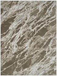 Modern Brown Area Rug: Regal Maison Quartz 1813279: Brown/Beige (Power-Loomed Area Rug)