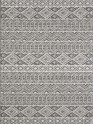 Modern/Bohemian/Indoor-Outdoor Grey/Silver Area Rug: Madison Terrarium 13200676: Grey (Power-Loomed Area Rug)