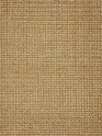 Modern/Transitional Yellow/Gold Area Rug: Design Organics Tiki 4207007: Gold (Power-Loomed Area Rug)