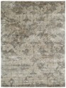 Transitional/Modern Brown Wool Area Rug: Regal Erasure 185663: Brown (Hand-Knotted Area Rug)