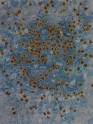 Contemporary Blue/Navy Wool Area Rug: Modern Masters Boho Farina 13060: Sky (Hand-Knotted Area Rug)