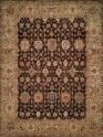 Traditional Brown Wool Area Rug: Regal Theology 1820773: Brown/Gold (Hand-Knotted Area Rug)
