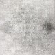 Transitional/Traditional Grey Area Rug: Summit Alrosa 191801: Grey (Power-Loomed Area Rug)_Transitional/Traditional Grey Area Rug: Summit Alrosa 191801: Grey (Power-Loomed Area Rug)_Transitional/Traditional Grey Area Rug: Summit Alrosa 191801: Grey (Power-Loomed Area Rug)_Transitional/Traditional Grey Area Rug: Summit Alrosa 191801: Grey (Power-Loomed Area Rug)