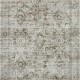 Traditional Green Area Rug: Allure Bright Nydra 1220 (Power-Loomed Area Rug)