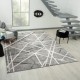 Modern Grey/Silver Area Rug: Regal Cosmic Storm 183530: Greys (Power-Loomed Area Rug)