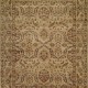 Traditional Yellow/Gold Wool Area Rug: Regal Phocelia 1816589: Gold (Hand-Knotted Area Rug)