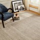 Transitional/Modern Beige/Tan Wool Area Rug: Regal Teasha 1820956: Neutral Tones (Power-Loomed Area Rug)